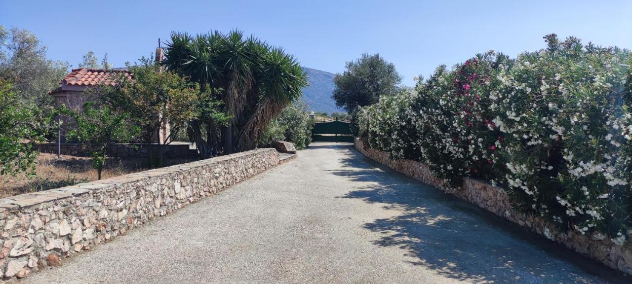 Ellie'S Stonehouse Gianapa, Porto Rafti, Greece, 190 03, Gr Villa ภายนอก รูปภาพ